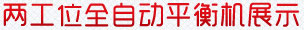 兩工位全自動(dòng)平衡機(jī)展示